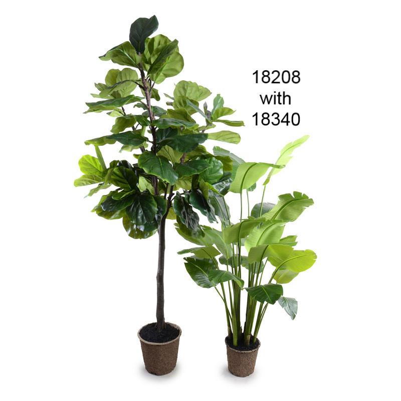 Fiddle-leaf Fig Tree, 7.5' - New Growth Designs
