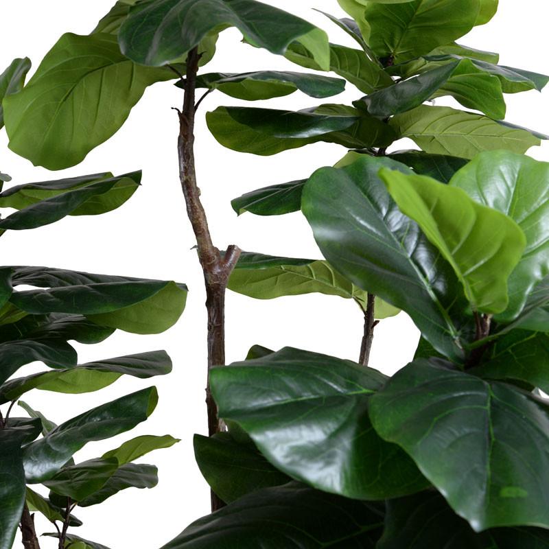Fiddle-leaf Fig Tree, 7.5' Standard - New Growth Designs