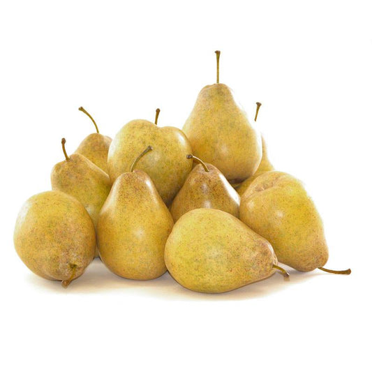 Bartlett Pear - New Growth Designs