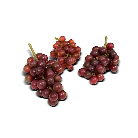 Grape Cluster - New Growth Designs