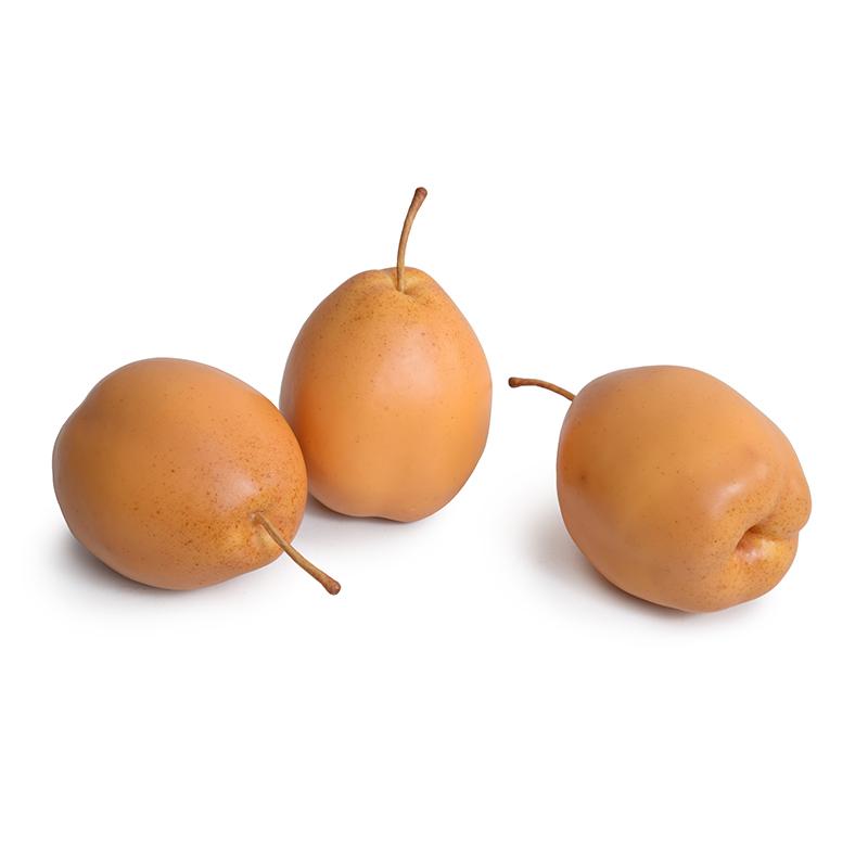 Asian Pear - New Growth Designs