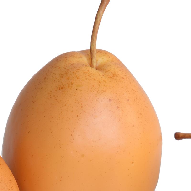 Asian Pear - New Growth Designs