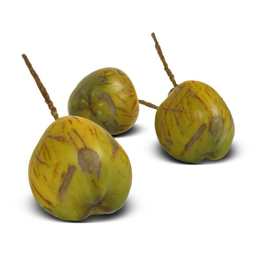 Coconuts - New Growth Designs