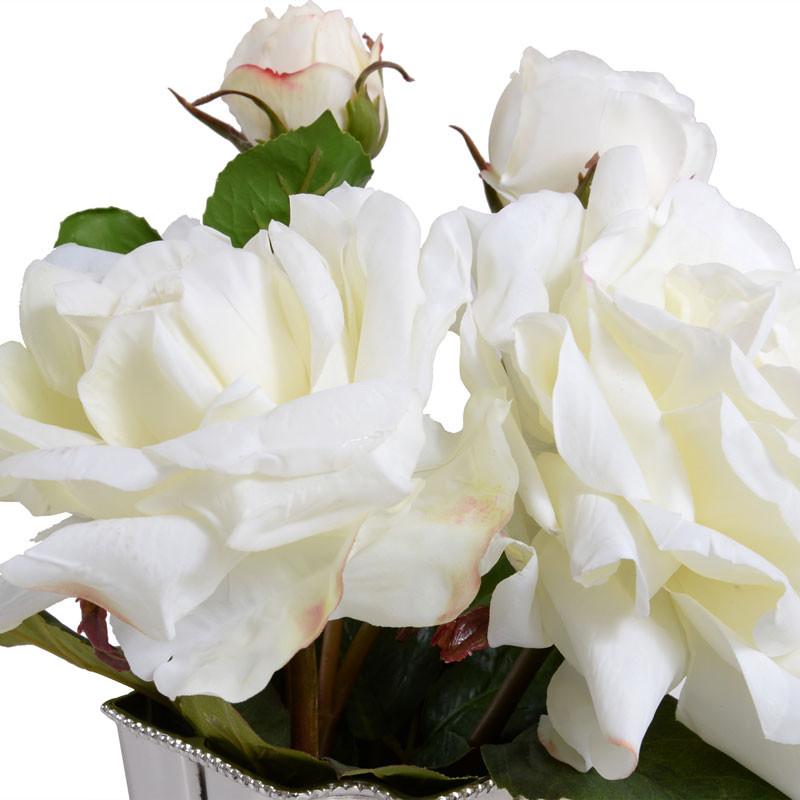 White Roses