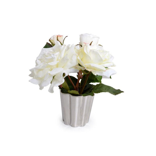 White Roses