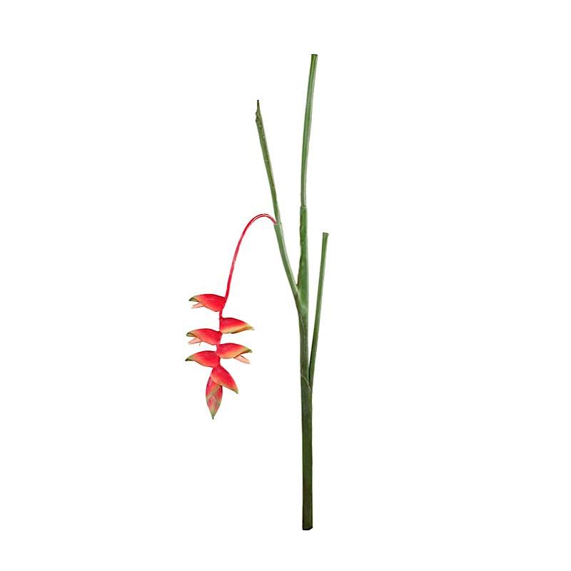 Heliconia Stem - New Growth Designs
