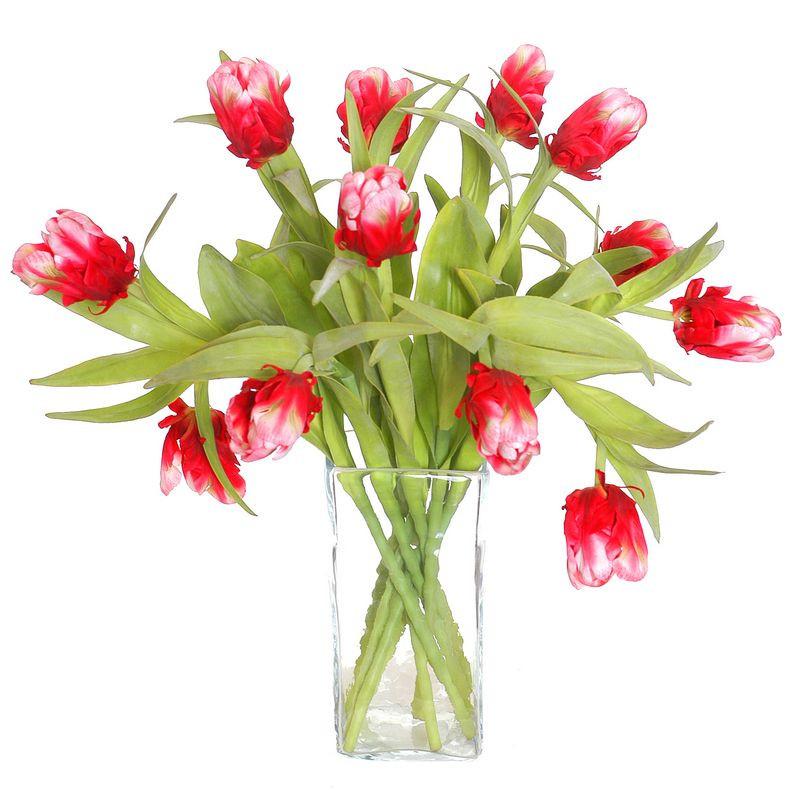 Tulip Stem, Red-white