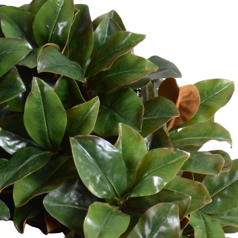 28" Magnolia Leaf Wreath - New Growth Designs