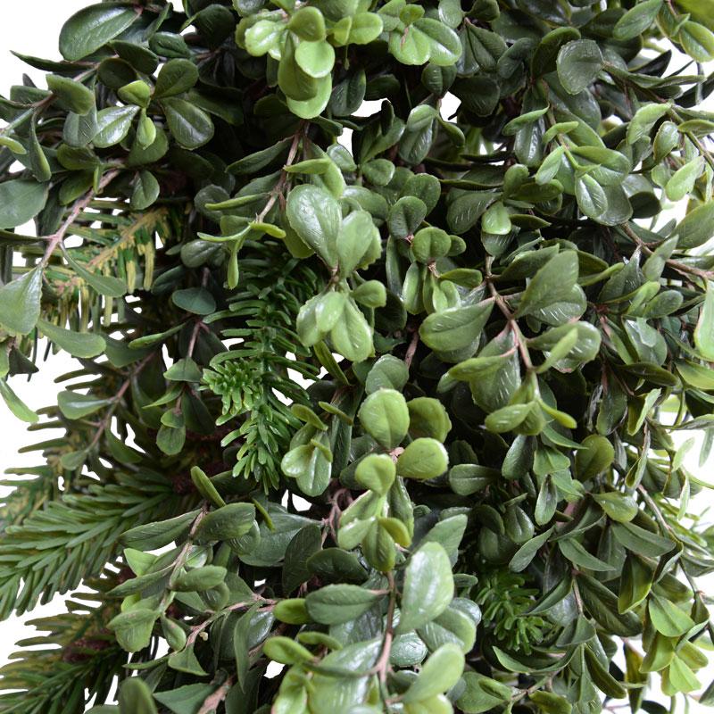 6' Boxwood, Fir Garland - New Growth Designs