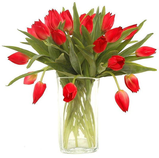 Tulip Stem, Red