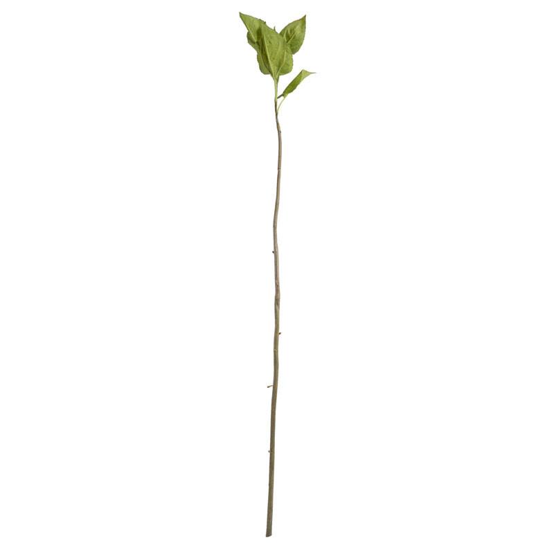 Hydrangea Leaf Stem - New Growth Designs