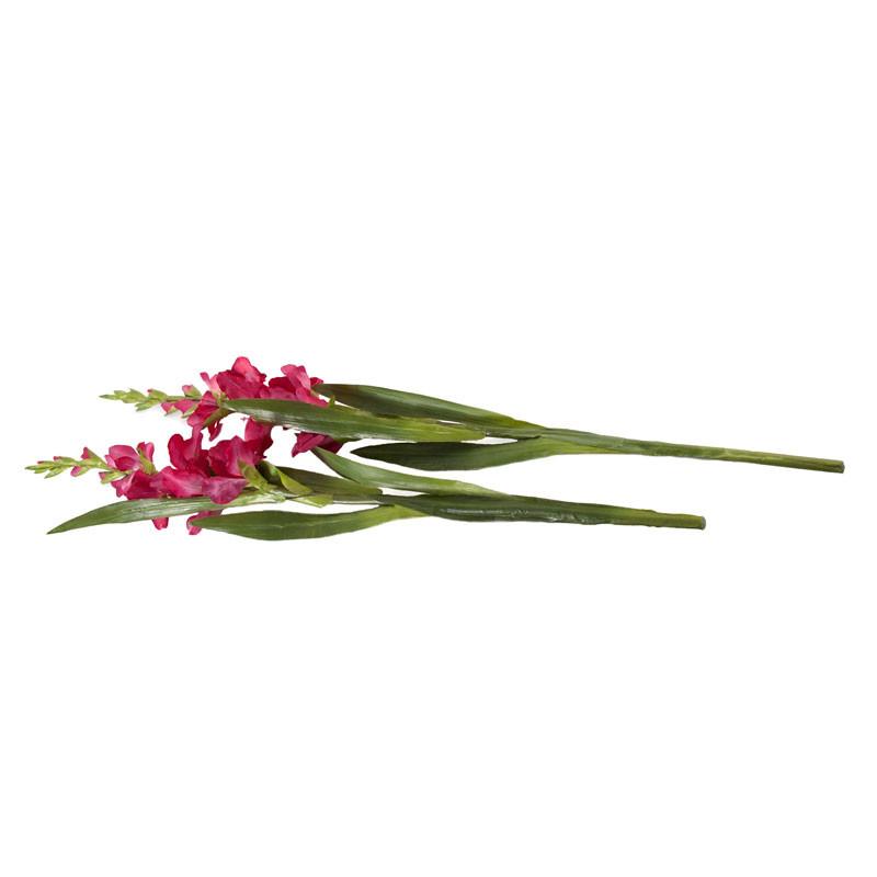 Gladiolus Flower Stem - New Growth Designs