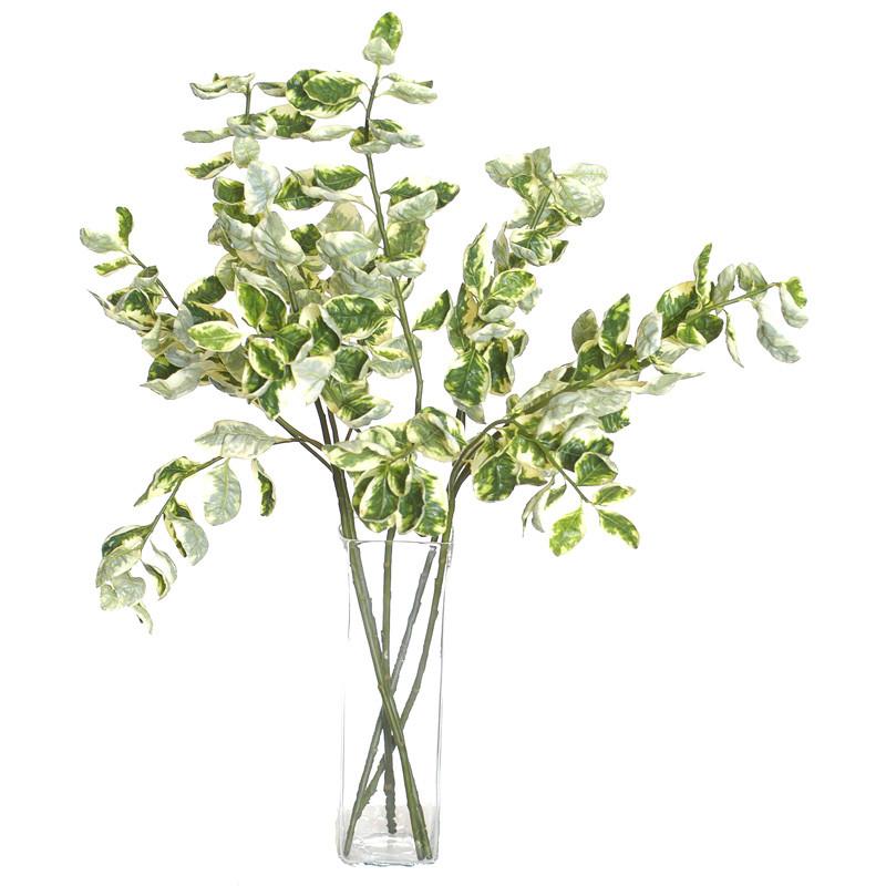 Euonymus Variegated Spray - New Growth Designs