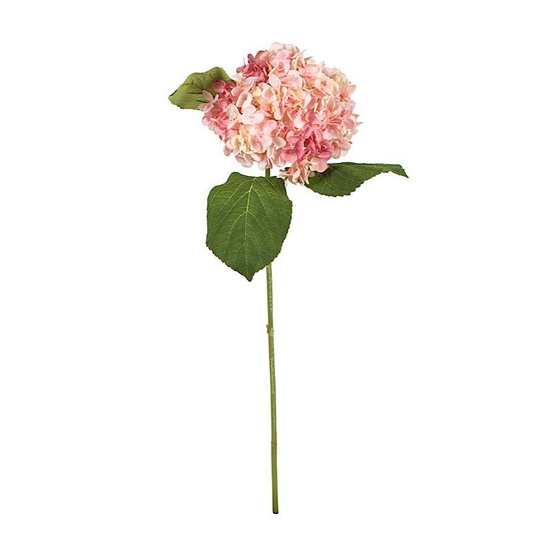 Hydrangea Flower Stem - New Growth Designs