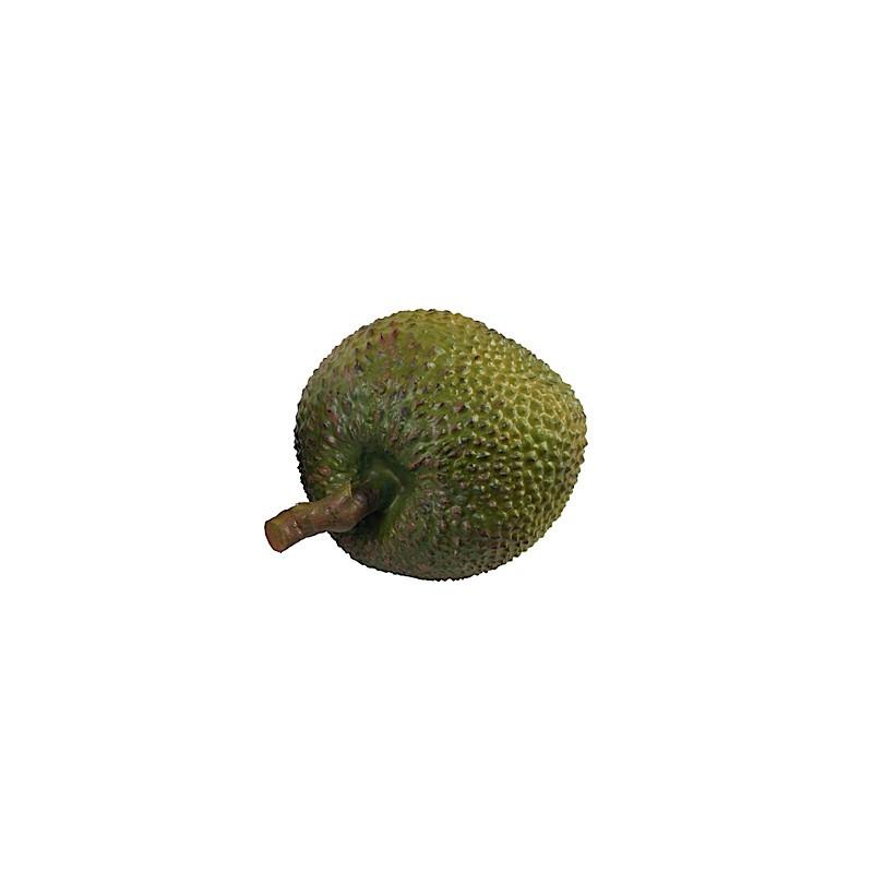 Durian - New Growth Designs