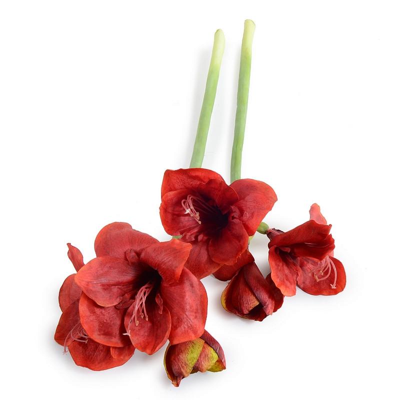 Amaryllis Stem - New Growth Designs