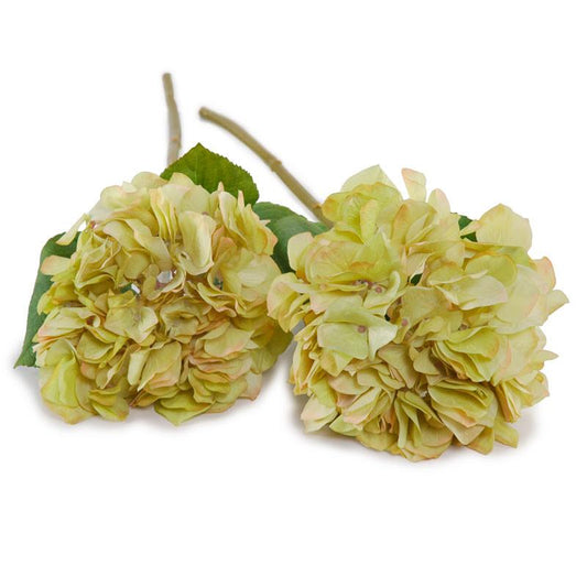 Hydrangea Flower Stem - New Growth Designs