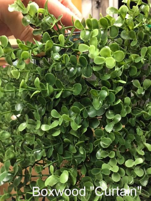 Boxwood Custom-made Hedges, Shapes and Frames - New Growth Designs