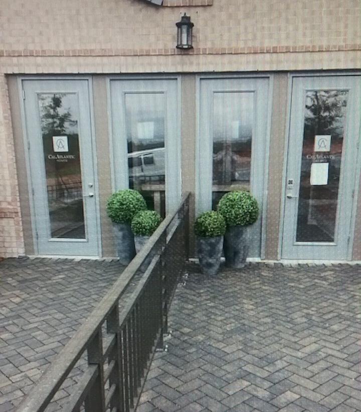 22" Boxwood Ball in Tapered Pot - New Growth Designs