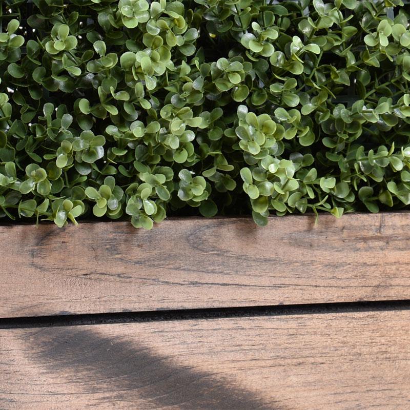 Boxwood Custom-made Hedges, Shapes and Frames - New Growth Designs