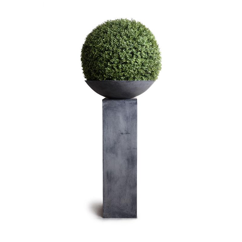 Boxwood Ball Custom-made Topiary - New Growth Designs