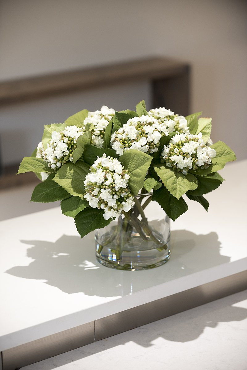 Hydrangea Buds - New Growth Designs