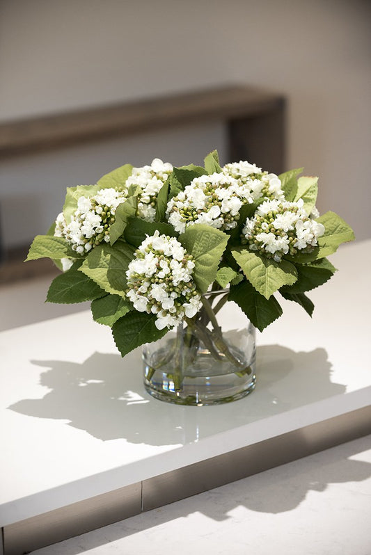 Hydrangea Buds - New Growth Designs