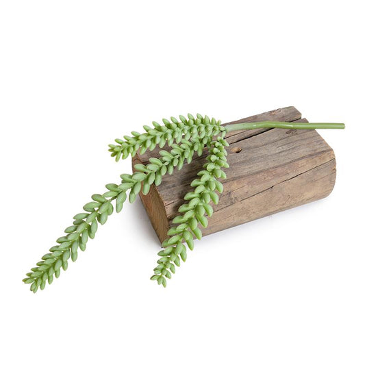 Sedum Succulent Pick