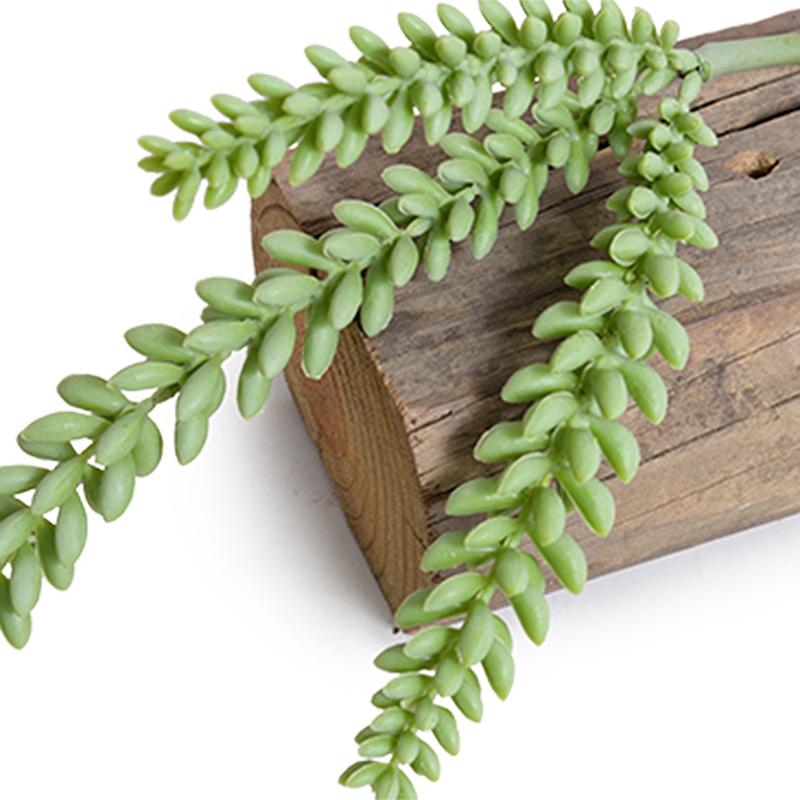 Sedum Succulent Pick