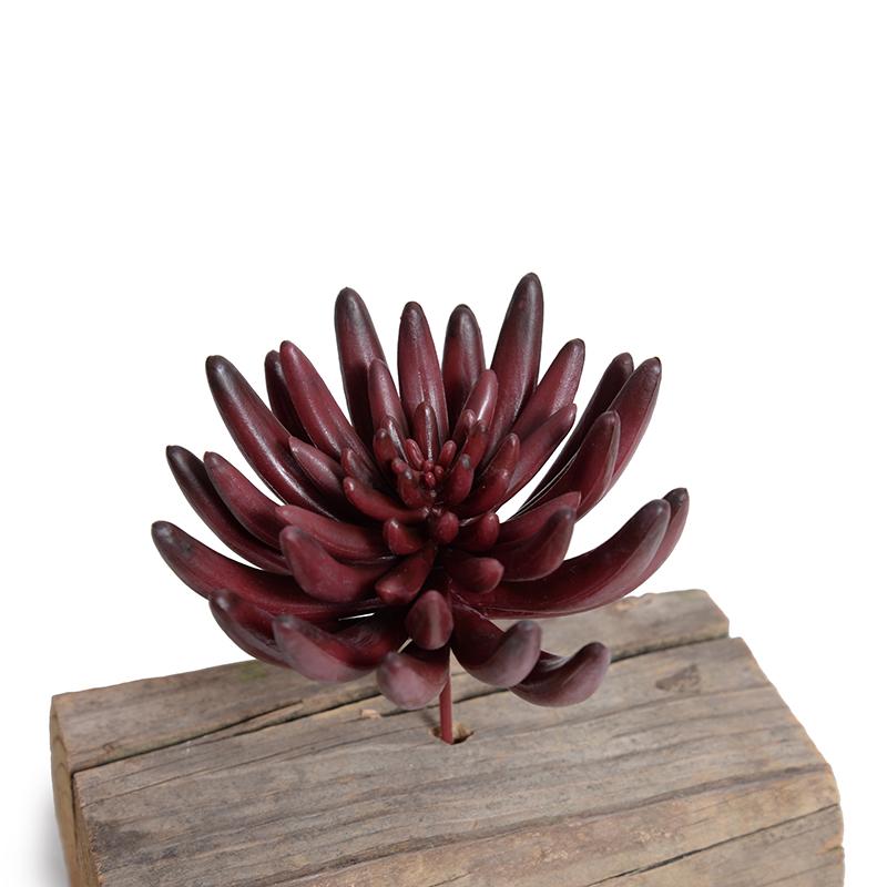 Burgundy Succulent Pick