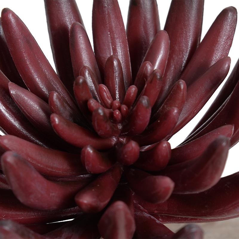 Burgundy Succulent Pick