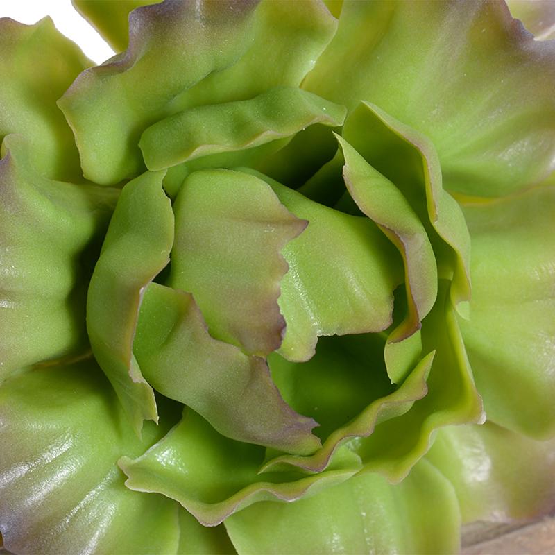 Cabbage Succulent Pick