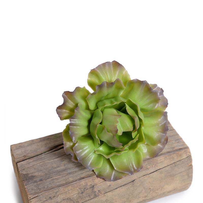 Cabbage Succulent Pick