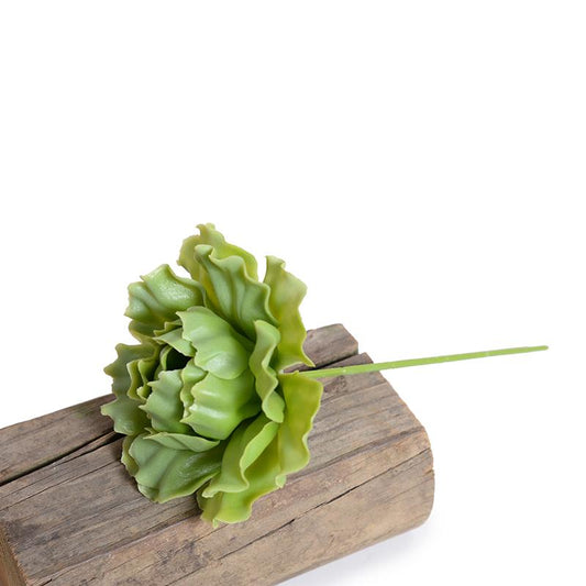 Cabbage Succulent Pick