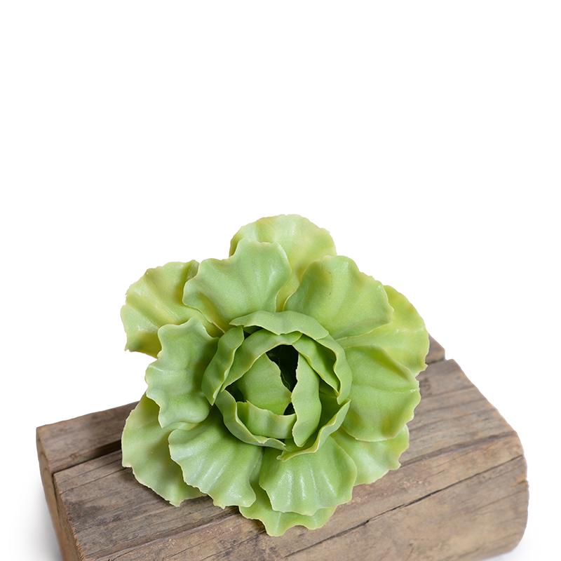 Cabbage Succulent Pick
