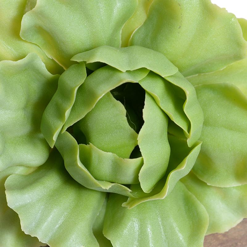 Cabbage Succulent Pick