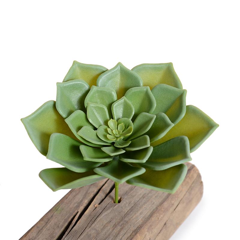 Echeveria Succulent Pick