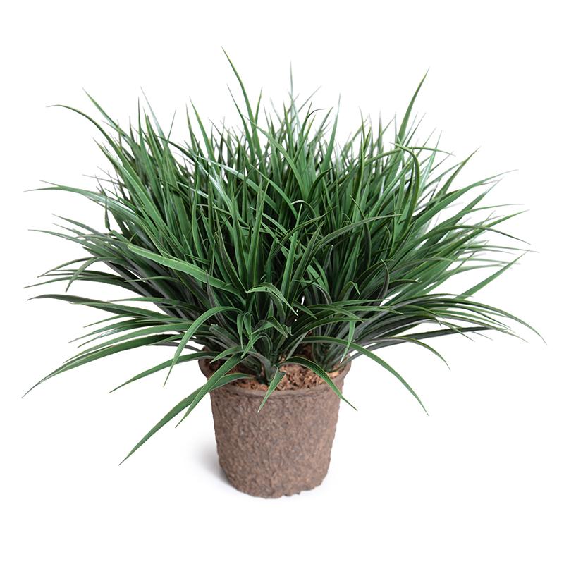 Enduraleaf Grass in 8" Pot