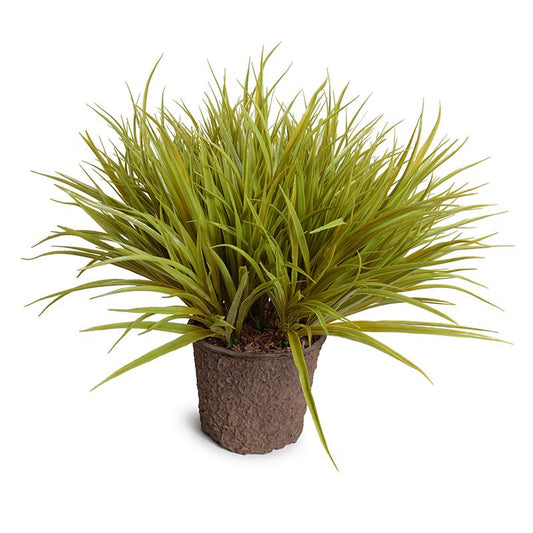 Enduraleaf Grass in 8" Pot