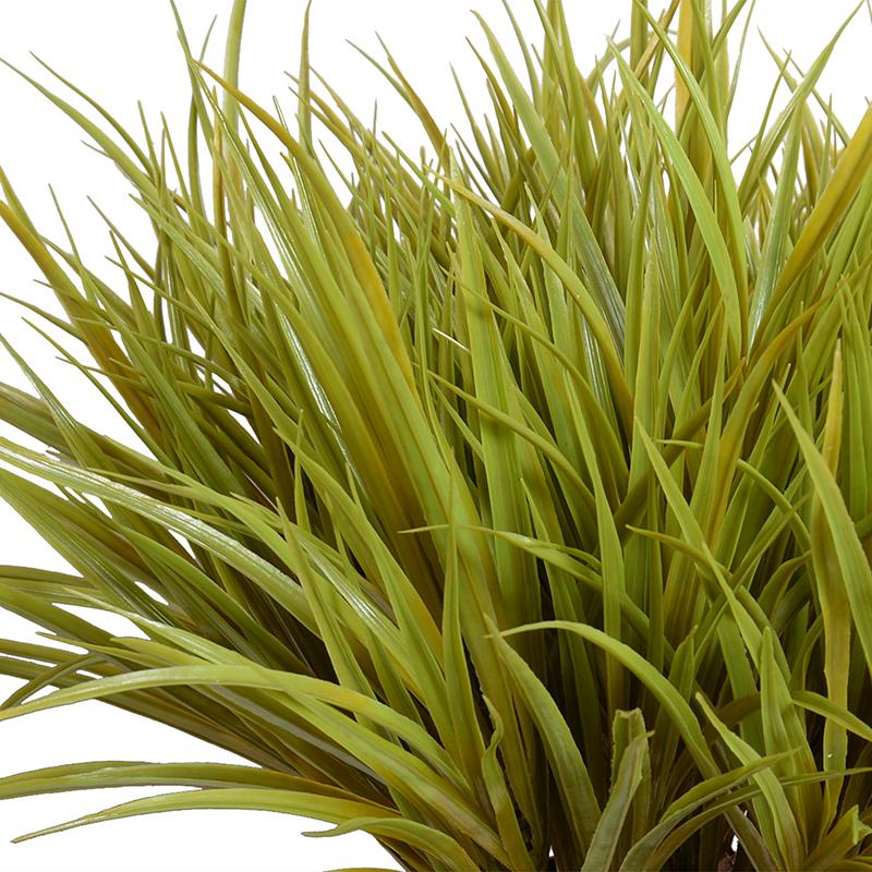 Enduraleaf Grass in 8" Pot