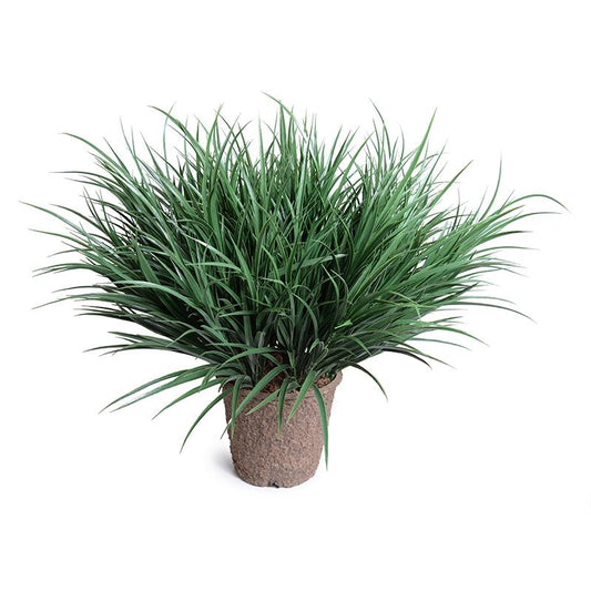 Enduraleaf Orchard Grass in 9" Pot