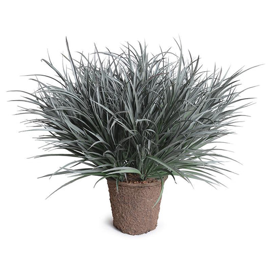 Enduraleaf Orchard Grass in 9" Pot