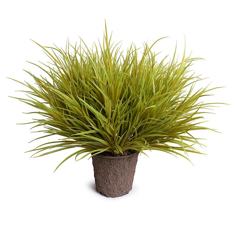 Enduraleaf Orchard Grass in 9" Pot