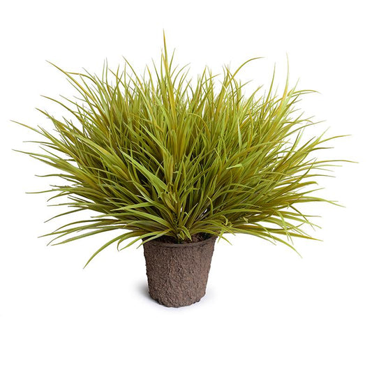 Enduraleaf Orchard Grass in 9" Pot
