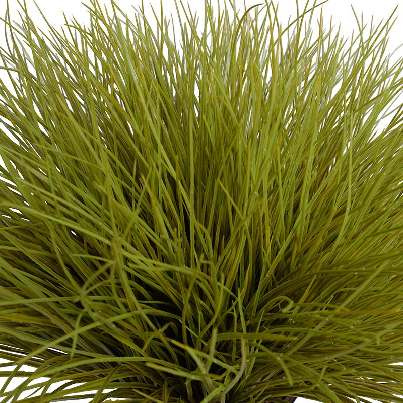 Enduraleaf Onion Grass in 7" Pot