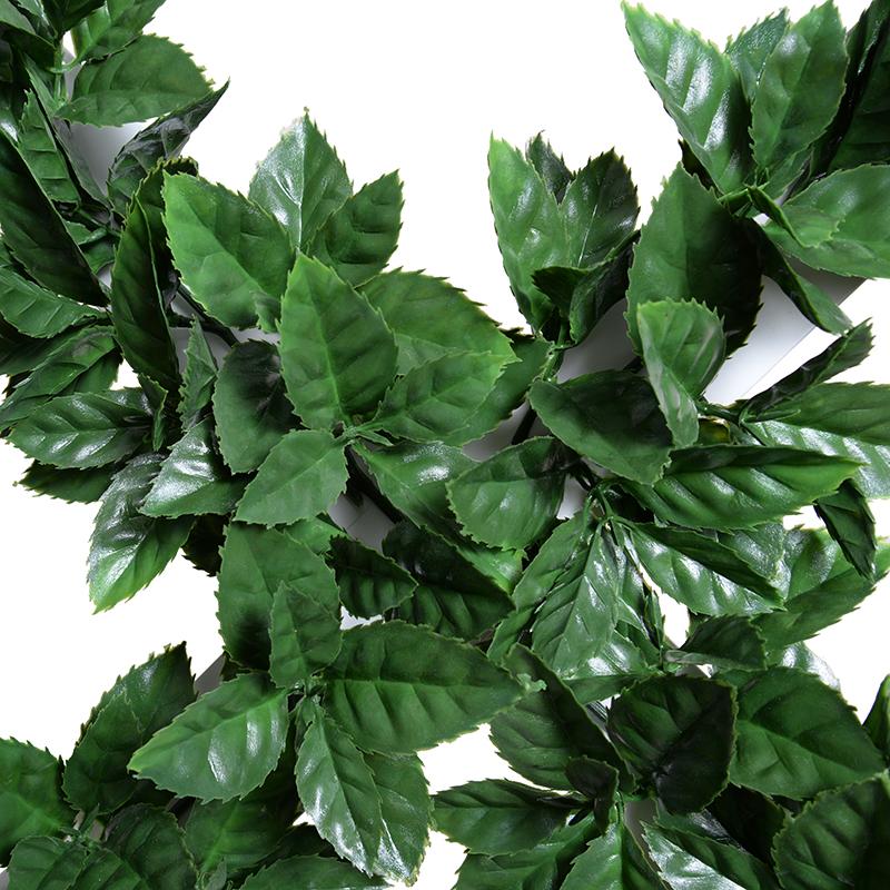 42" Ligustrum Garden Trellis (Aucuba Rozannie)