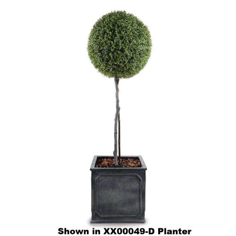 22" Boxwood Ball Topiary - New Growth Designs