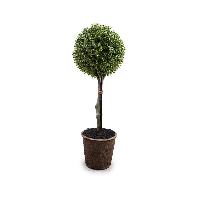 11" Boxwood Ball Topiary - New Growth Designs