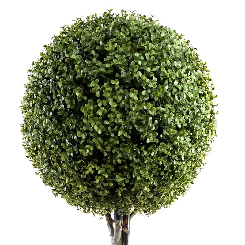15" Boxwood Ball Topiary - New Growth Designs