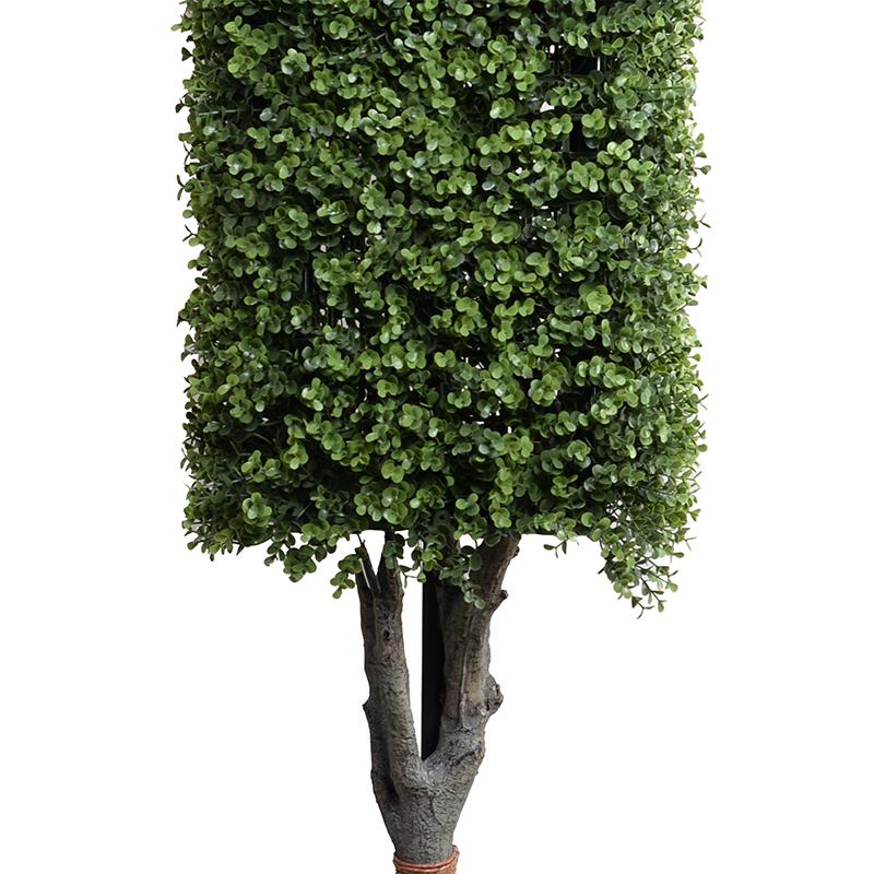 Boxwood Column Topiary